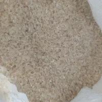 نیم دانه فجر