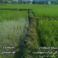 کود ارگانیک افزایش محصولات چندبرابر|گل و گیاه طبیعی|مشهد, کلاهدوز|دیوار