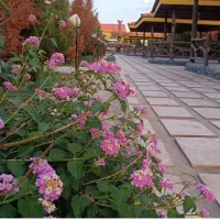 استخدام نیرو برای کافه رستوران امیرکبیر یزد|استخدام خدمات فروشگاه و رستوران|یزد, |دیوار