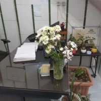 استخدام راننده مجرب و متعهد