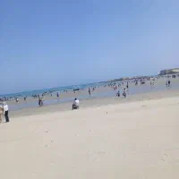 ماشین در بست در اختیار با راننده|خودرو اجاره‌ای|قشم, |دیوار