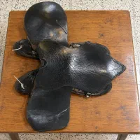 زین انگلیسی اصلی