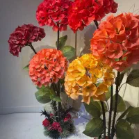 اجاره و فروش گلهای غولپیکر (هدیه رایگان)|خدمات پذیرایی، مراسم|قزوین, |دیوار