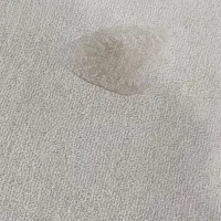 موکت|موکت|پارس‌آباد, |دیوار