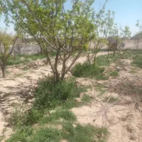 فروش-باغ-درکهک