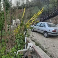 فروش پژو 405 glx دوگانه کارخانه مدل 1398