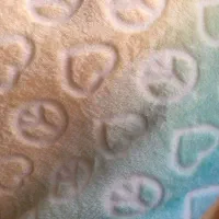 پتوی مسافرتی دونفر