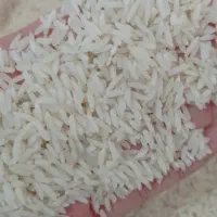 برنج کشت دوم طارم اصل کیلویی ۳۱۵تومن
