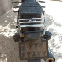 ۲۰۰ شیر کوه فروش فوری و نقد