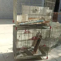 قفس سهره