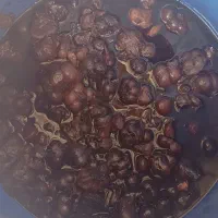 سیر ترشی 7ساله عالی به شرط|خوردنی و آشامیدنی|تهران, هرندی|دیوار