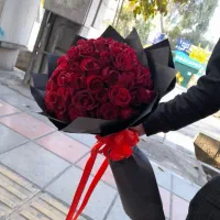 گل رز هلندی|گل و گیاه طبیعی|قم, چهار امامزاده|دیوار