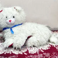 پاندا وگربه