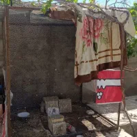 قفس بزرگ ۲ در۲ونیم