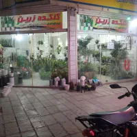 انواع گل های اپارتمانی باغچه ای و...