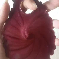 پالت ترکیب رنگ و ناخن|آرایشگاه و سالن‌های زیبایی|شاهین‌شهر, فردوسی|دیوار