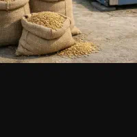 ارائه خدمات همکاری و تسویه شلتوک عنبر بو در اهواز