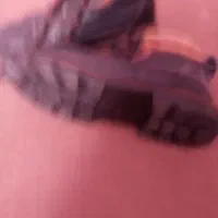 کفش|کیف، کفش، کمربند|سنندج, |دیوار