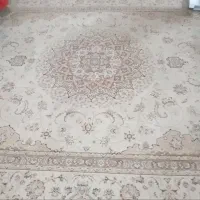 قالی تمام نخ کرم در حد نو شسته نشده هنوز ۳/۵×۲/۵