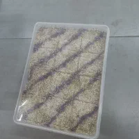 خرمای تازه و درجه یک