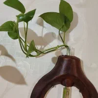 دیوارکوب