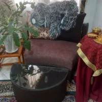 مبل 7 نفره ال|مبلمان خانگی و میز عسلی|ورامین, شهرک فجر|دیوار