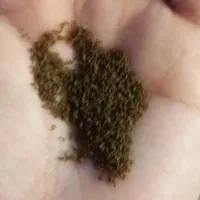 غذای ماهی|ماهی|تهران, منیریه|دیوار