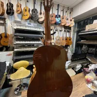 گیتار اسپانیایی در موزیک ارژنگ|گیتار، بیس، امپلیفایر|پردیس, فاز ۳|دیوار