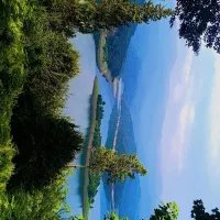 نیازمند کار