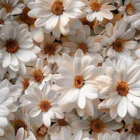 جویای کار هستم