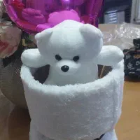 بوکت|صنایع دستی و سایر لوازم تزئینی|تهران, صادقیه|دیوار