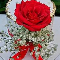 ۲۰٪ تخفیف ویژه کیک‌های یلدایی و روز مادر