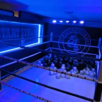 آموزش بوکس کیک بوکس mma کاراته تکواندو|خدمات آموزشی|تهران, استاد معین|دیوار