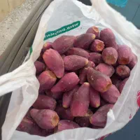 میوه‌ها کاکتوس