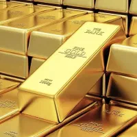 یک قطعه زنجیر بدون پلاک گم شده