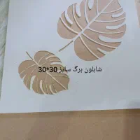 شابلون