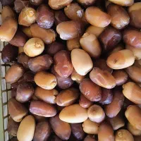رطب درجه یک کیلویی ۱۷۵ هایپر بهرامی