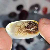 مقداری راف و نگین شجر|جواهرات|کرمان, |دیوار