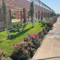 هرس درخت کود و شخم زنی|خدمات باغبانی و درختکاری|تهران, گیشا|دیوار