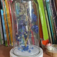 چراغ خواب زیبا