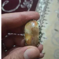 سلطانی بشرط فعال|جواهرات|تهران, الهیه|دیوار