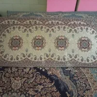 سرویس شاه نشین