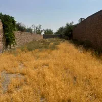 زمین-170-متری-حاشیه-ارگ-شمالی