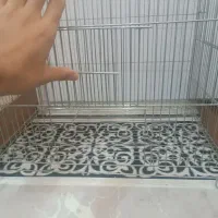 قفس سه درب مخصوص جوجه گیری