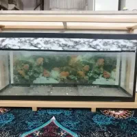 اکواریوم بزرگ