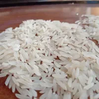 برنج فجر درجه یک مینودشت