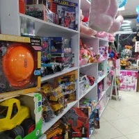 تم تولد و عروسک اسباب بازی