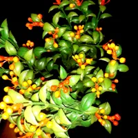 گل مصنوعی نارنجی