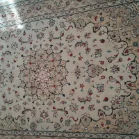 فرش ماشبنی|فرش|شاندیز, |دیوار