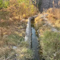 باغ و زمین ویلایی دلفارد|فروش زمین و ملک کلنگی|درب بهشت, |دیوار